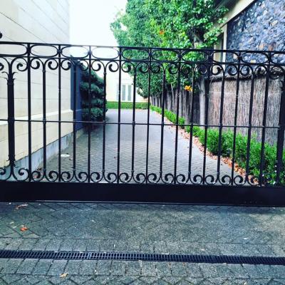 A Adelaide Fast Blast8