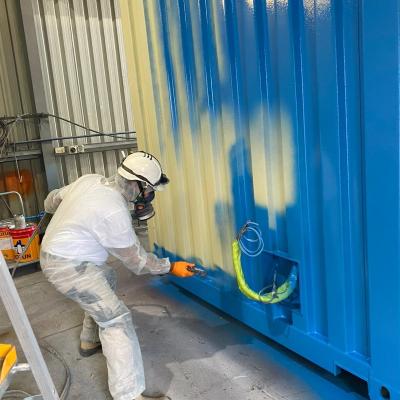 Surface Preparation Painting8