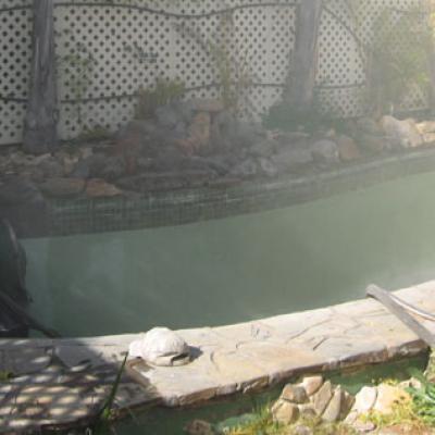 Adelaide Fast Blast Swimming Pools 9